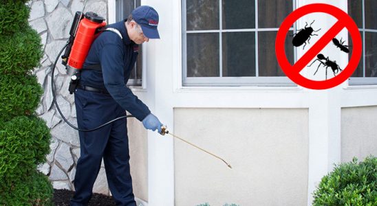 Cide Bit İlaçlama böcek ilaçlama ve haşere kontrolü — ilaclama-tr.com
